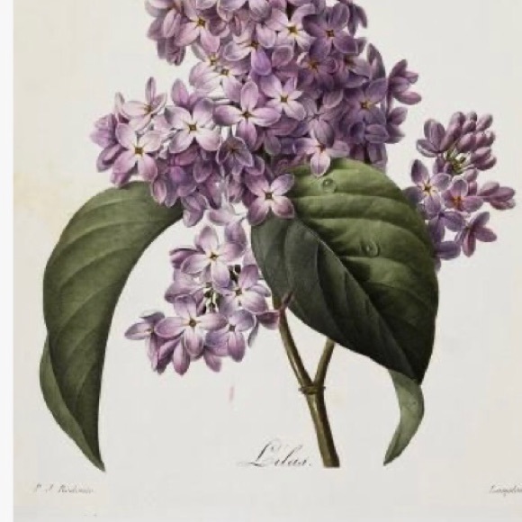 SpringTime🌸🤞 - Picture 8 of 16